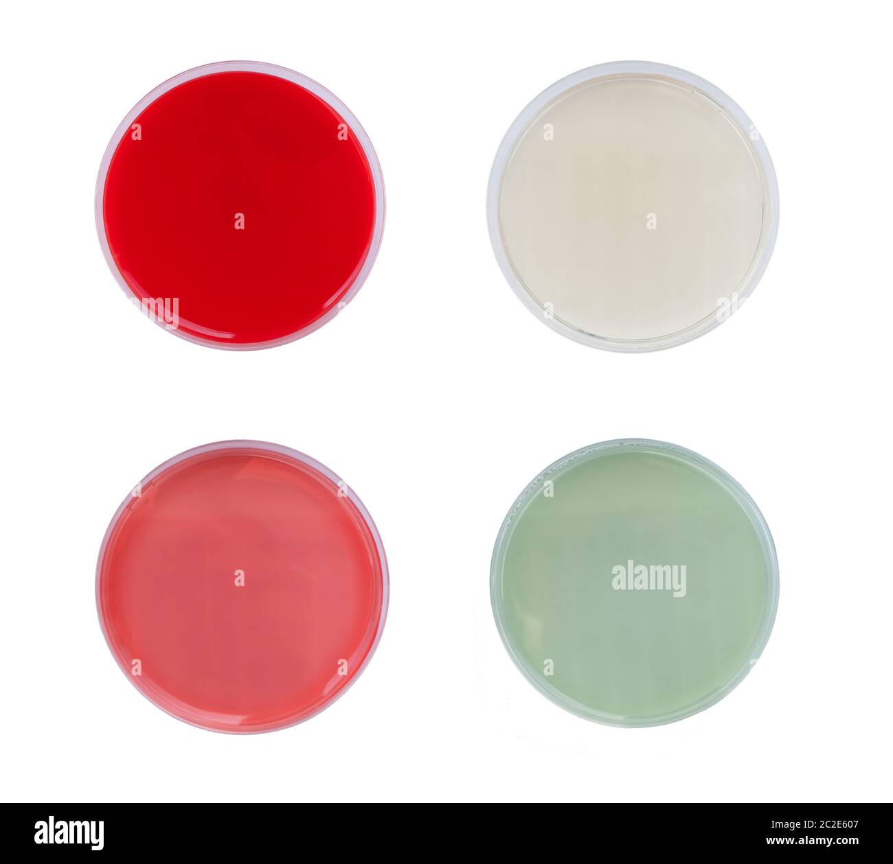 Petri dishes isolated on white background Columbia blood agar