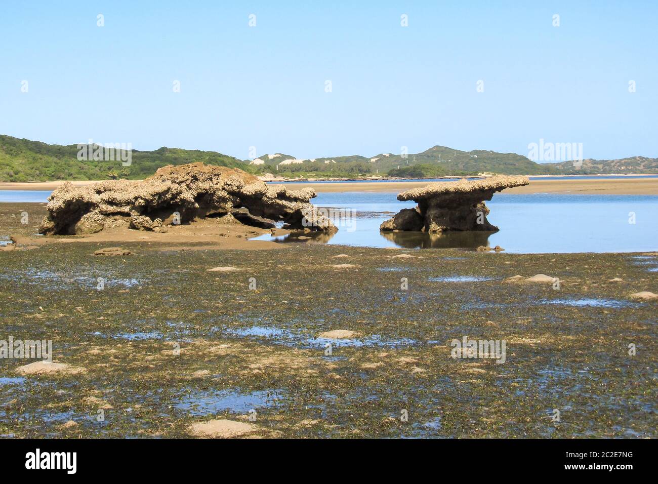 Tidal flat during low tide at KaNyaka Island, in Southern Mozambique, covered in seagrass with weathered beach rock formations in the background Stock Photo