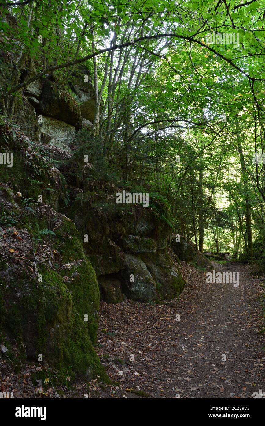 Granite, Valley of Pesenbach Stock Photo