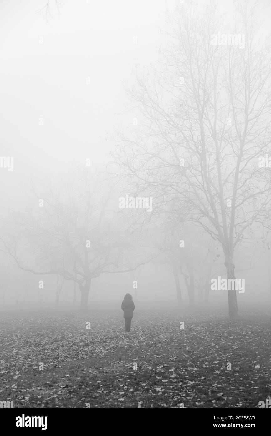 Foggy scenic view Black and White Stock Photos & Images - Alamy