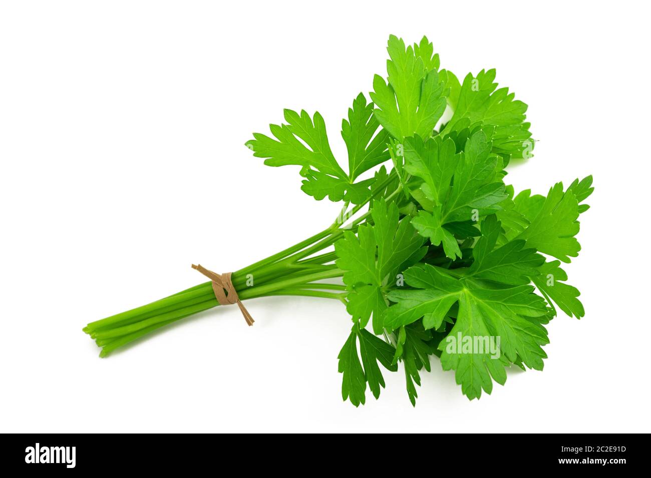 Parsley bunch tied isolated on white background Stock Photo