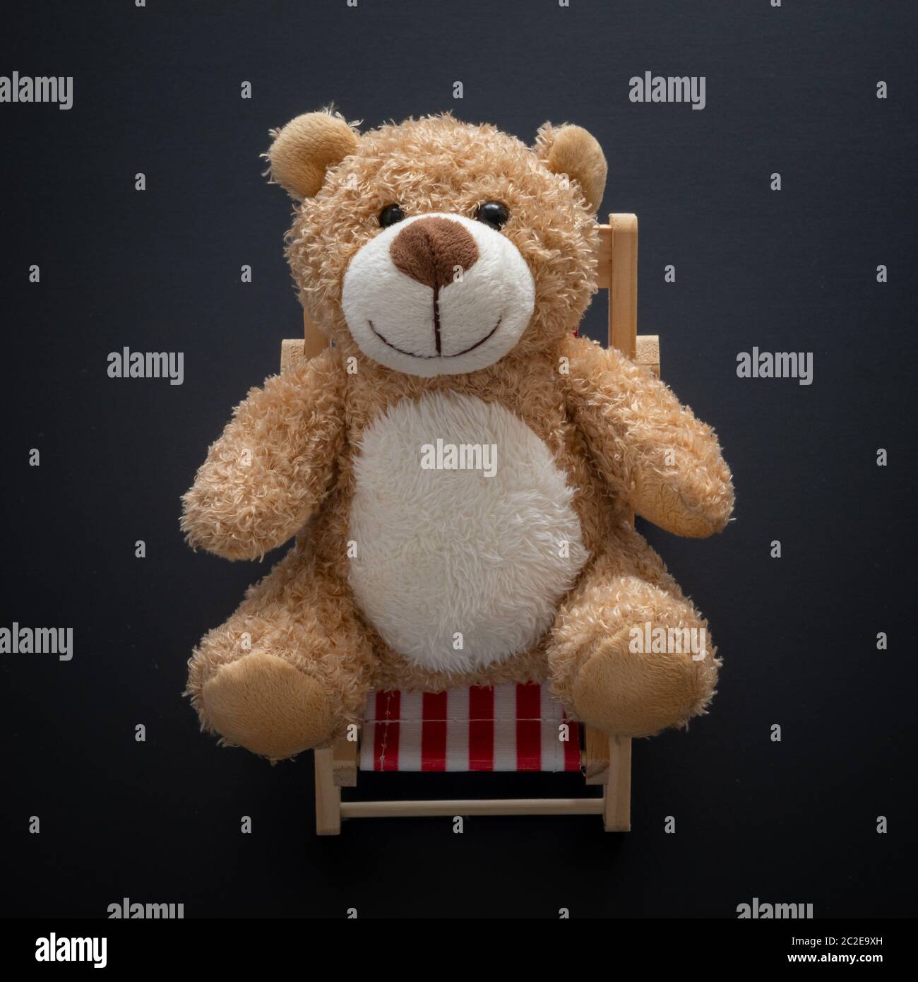 teddy bear with picture frame tummy