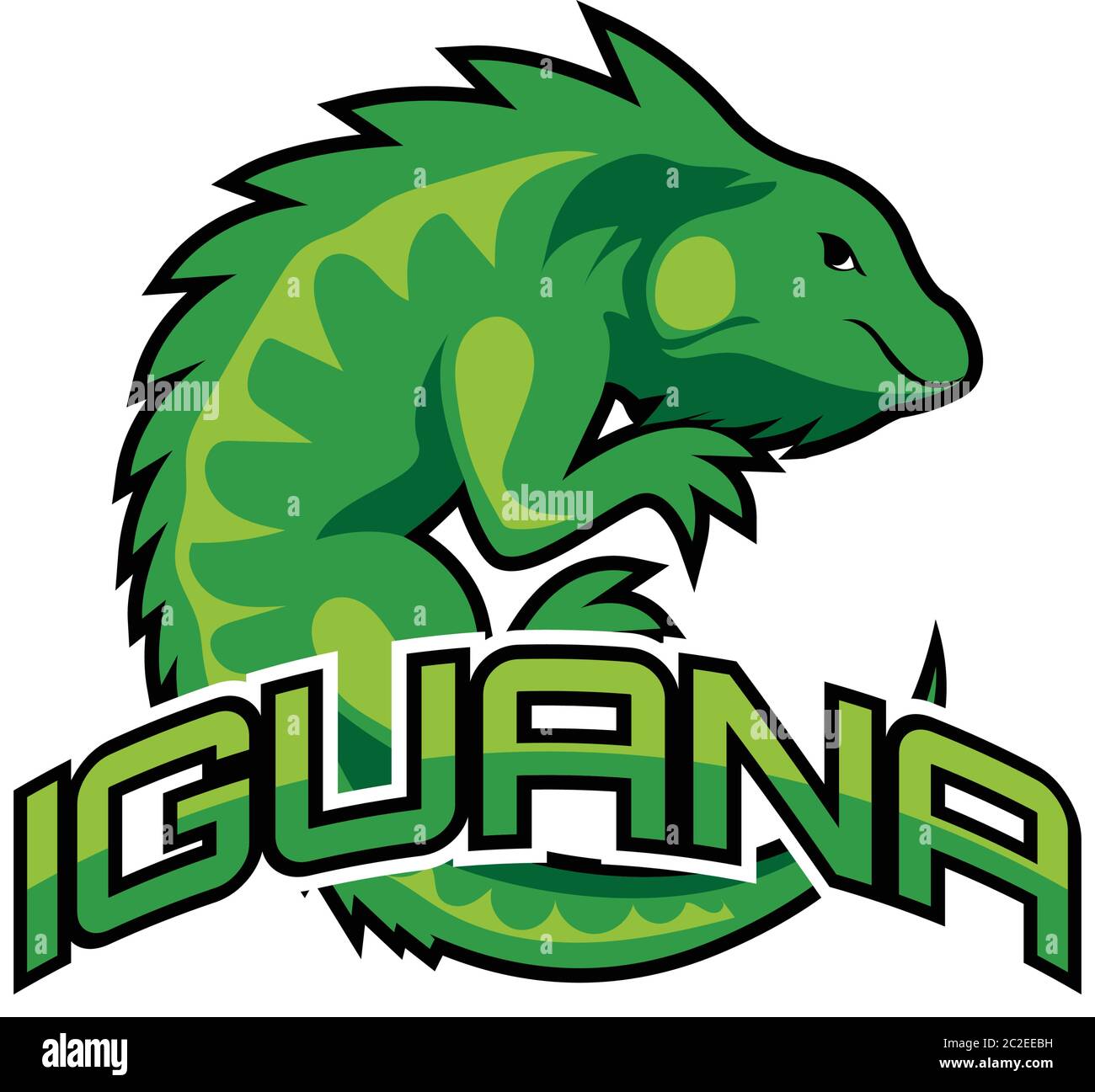 iguana logo for your business, vector illustration Stock Vector Image & Art  - Alamy