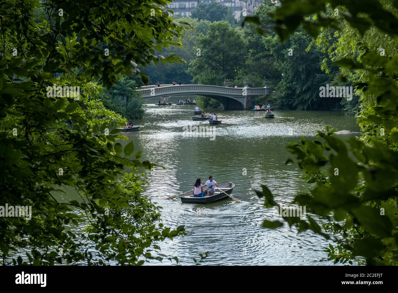 Rowing a boat at Central Park lake, in the middle of trees and buildings as background Stock