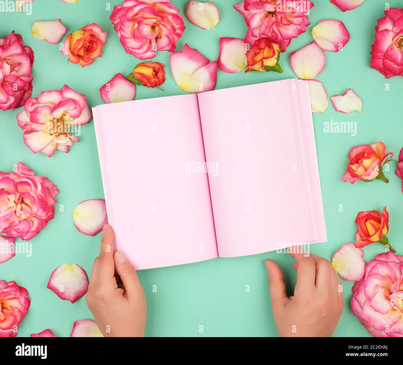 open notebook with blank pink pages on a green background, buds of a ...