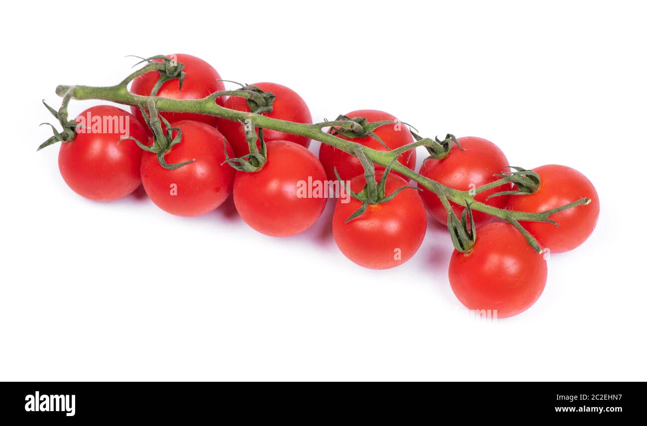 Ripe fresh cherry tomatoes on branch isolated on white background Stock ...