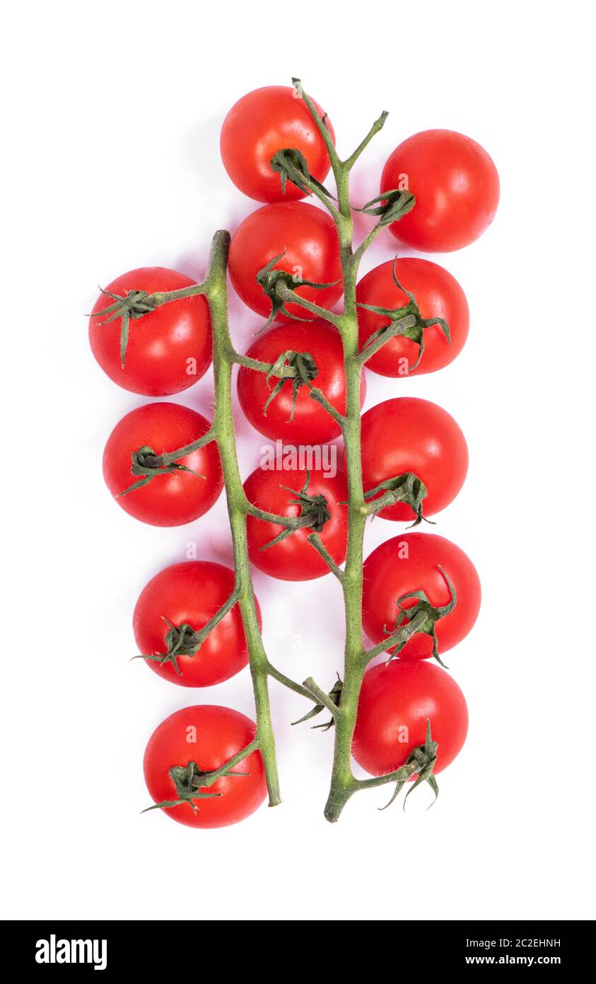 Ripe fresh cherry tomatoes on branch isolated on white background Stock ...