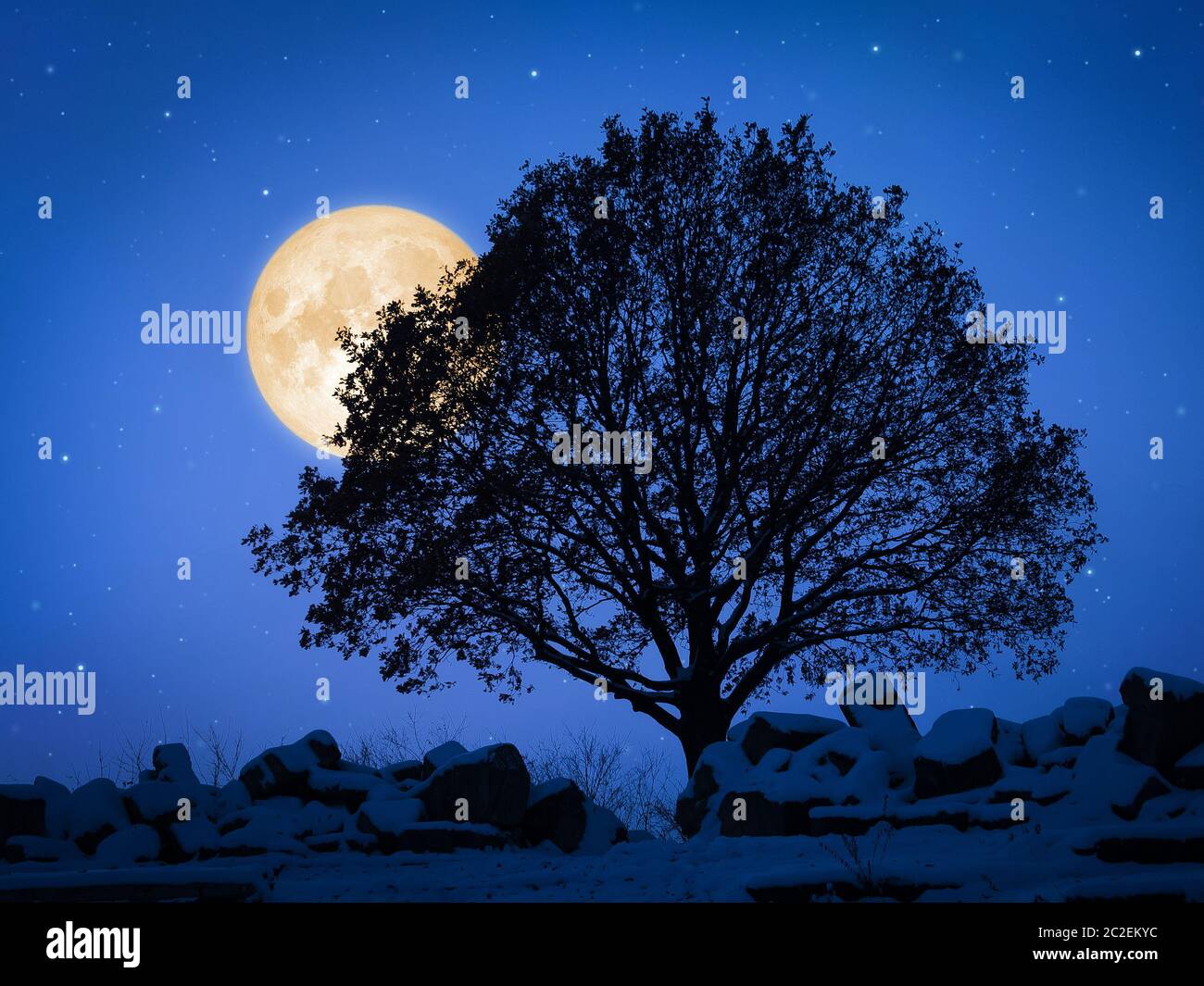 Moon behind tree hi-res stock photography and images - Alamy