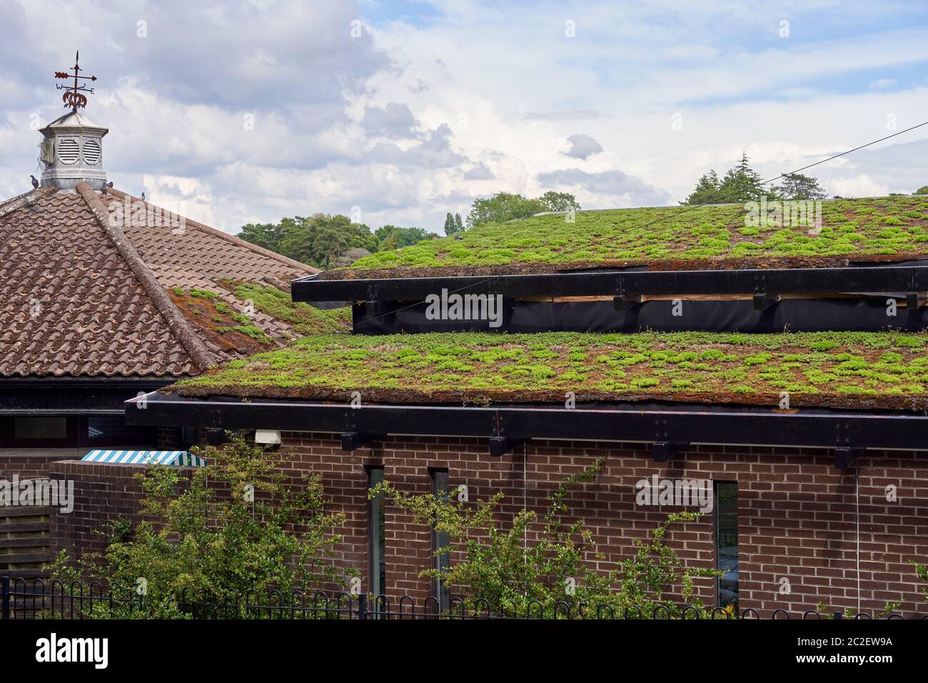 A green roof  on the cafe by the lake in Roath Park, Cardiff, South Wales Stock Photo