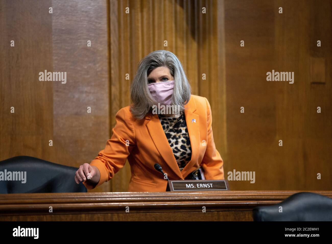 United States Senator Joni Ernst (Republican of Iowa) arrives to a ...