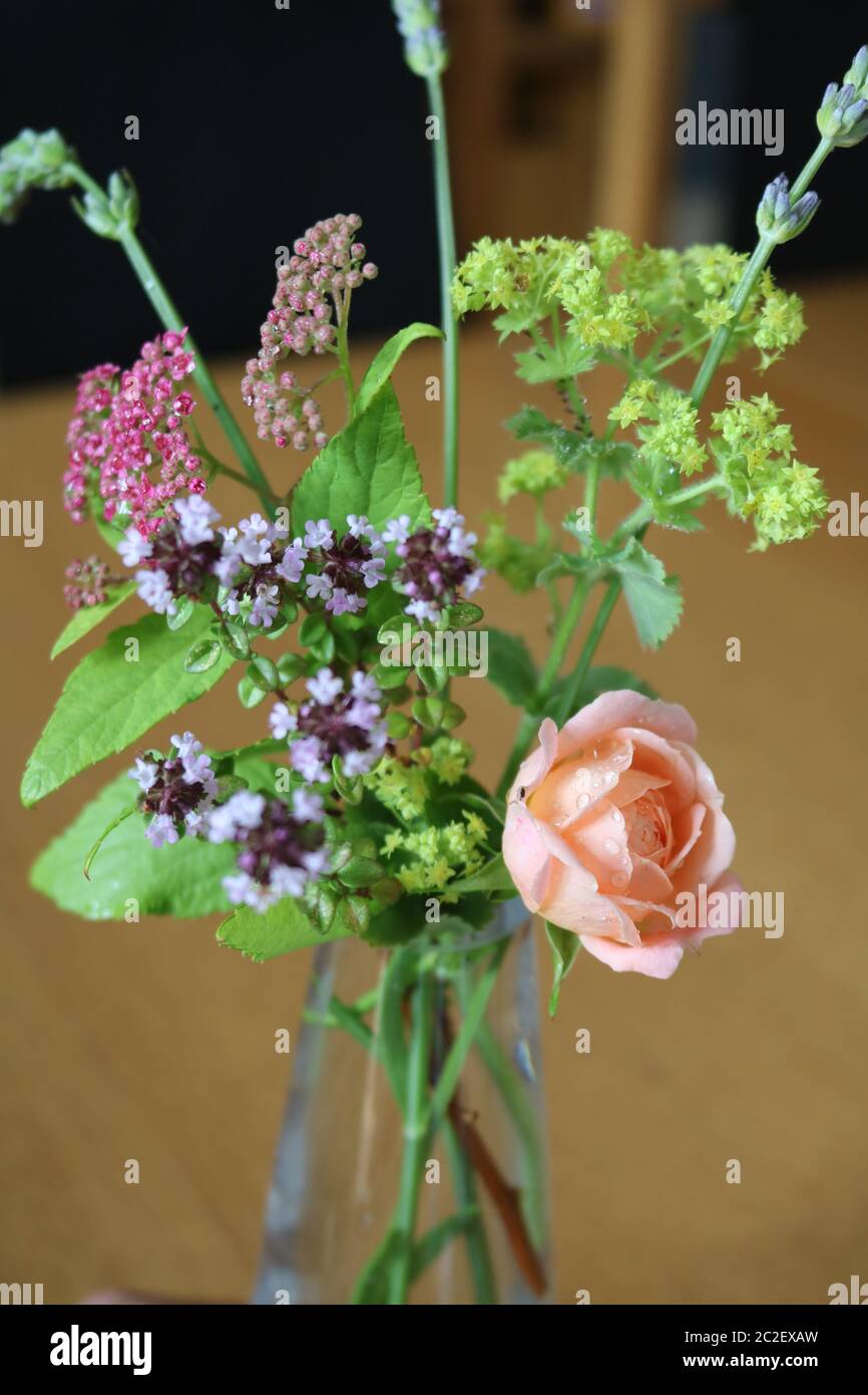 Tiny posy of rose, thyme, and lavender in a glass vase Stock Photo