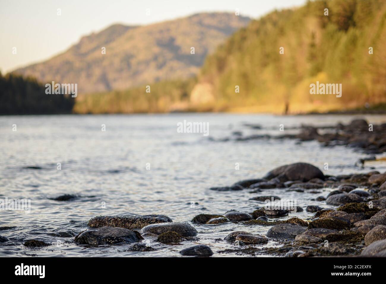 Rocky shore of the river, mountains in the background. Selective focus Stock Photo