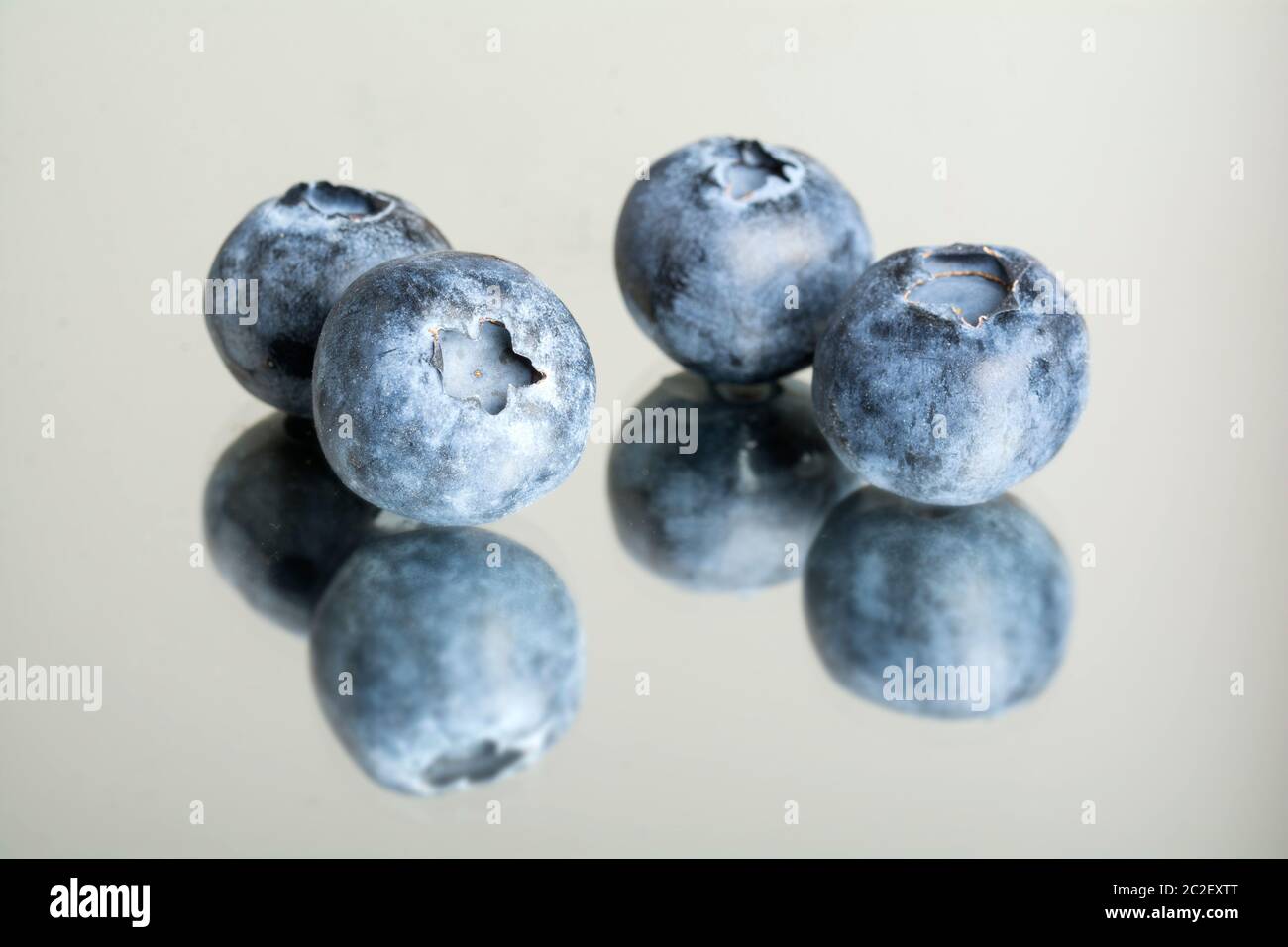 blueberries isolated Stock Photo