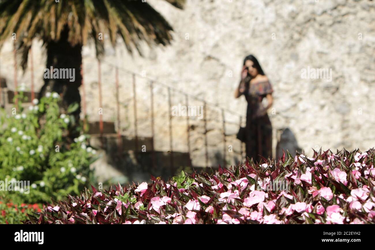 Amalfi Rose Garden