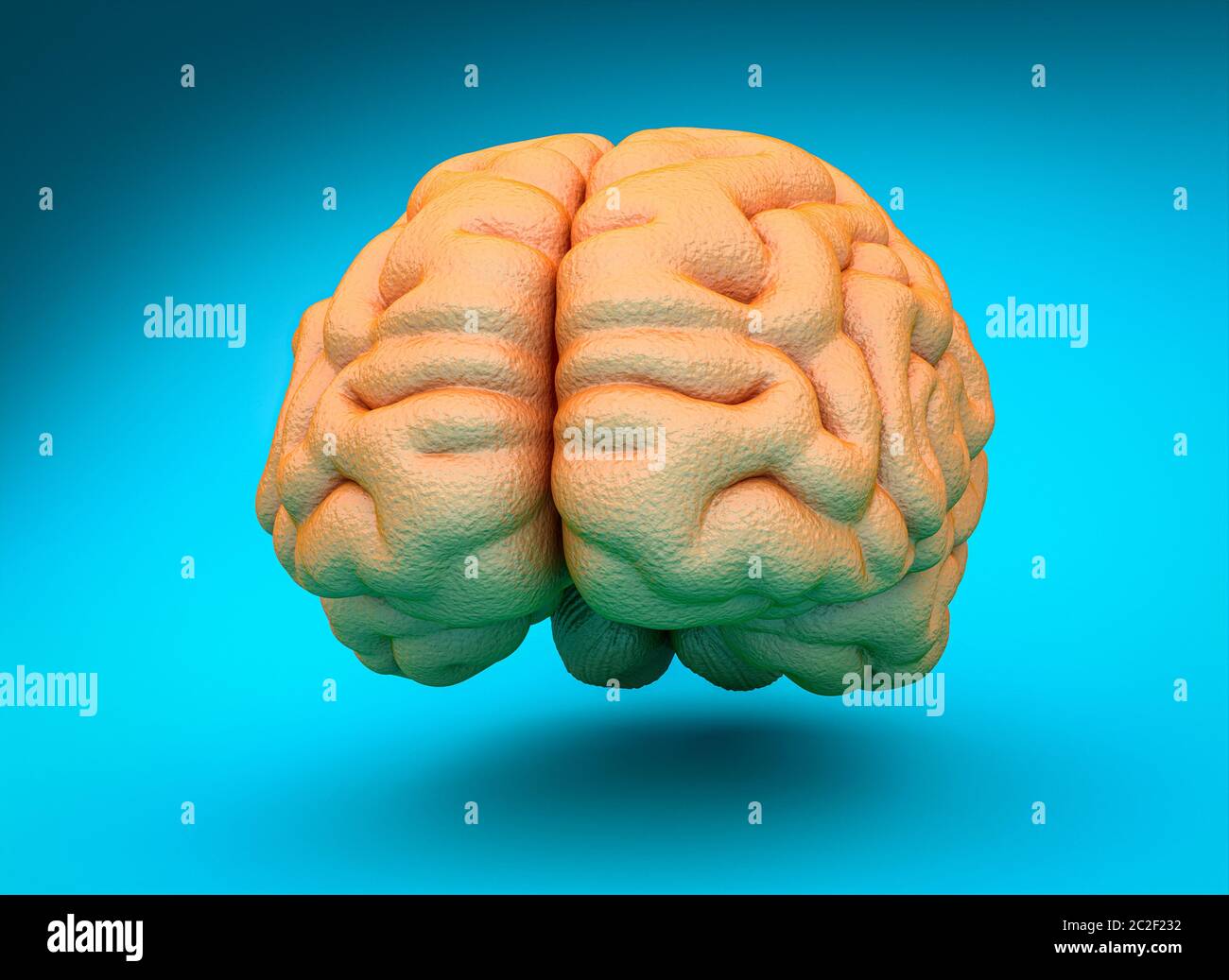 3d render of a human brain. concept of intelligence, creativity and wisdom. Stock Photo