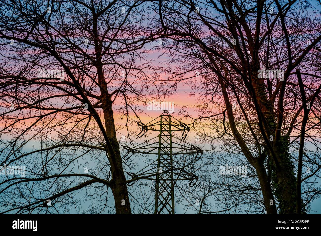 masts of a high-voltage line. in the foreground trees in winter. Stock Photo