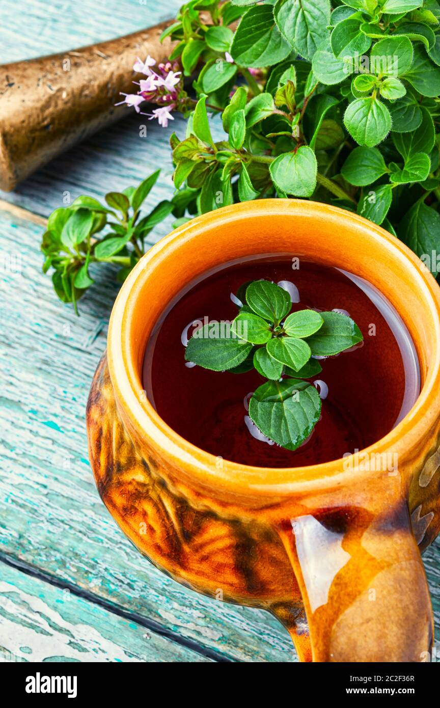 Medicinal tea from marjoram leaves.Herbal tea with oregano Stock Photo