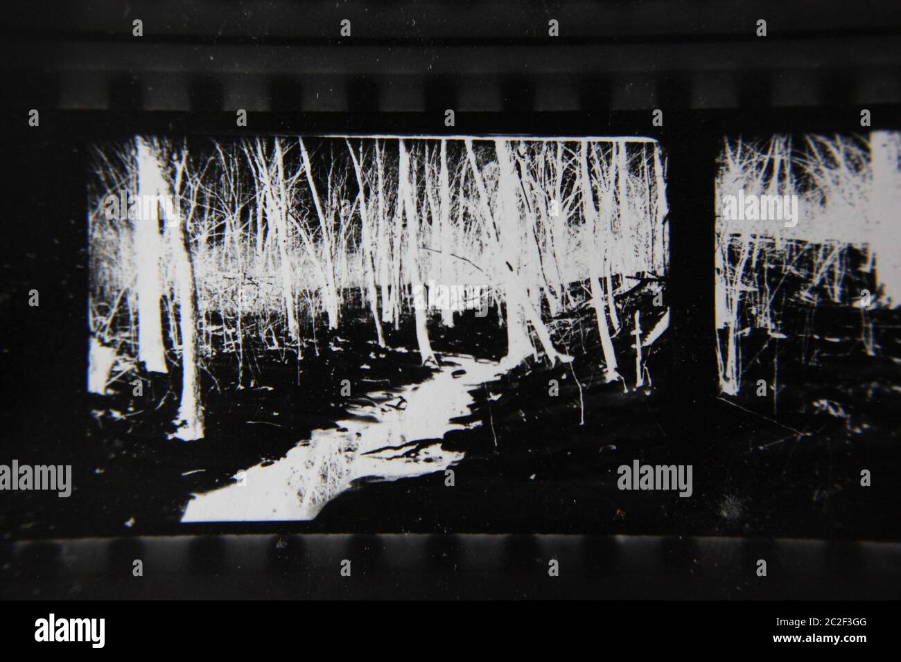 Fine 70s vintage contact print black and white extreme photography of a bright path travelling thru a haunted grass. Stock Photo