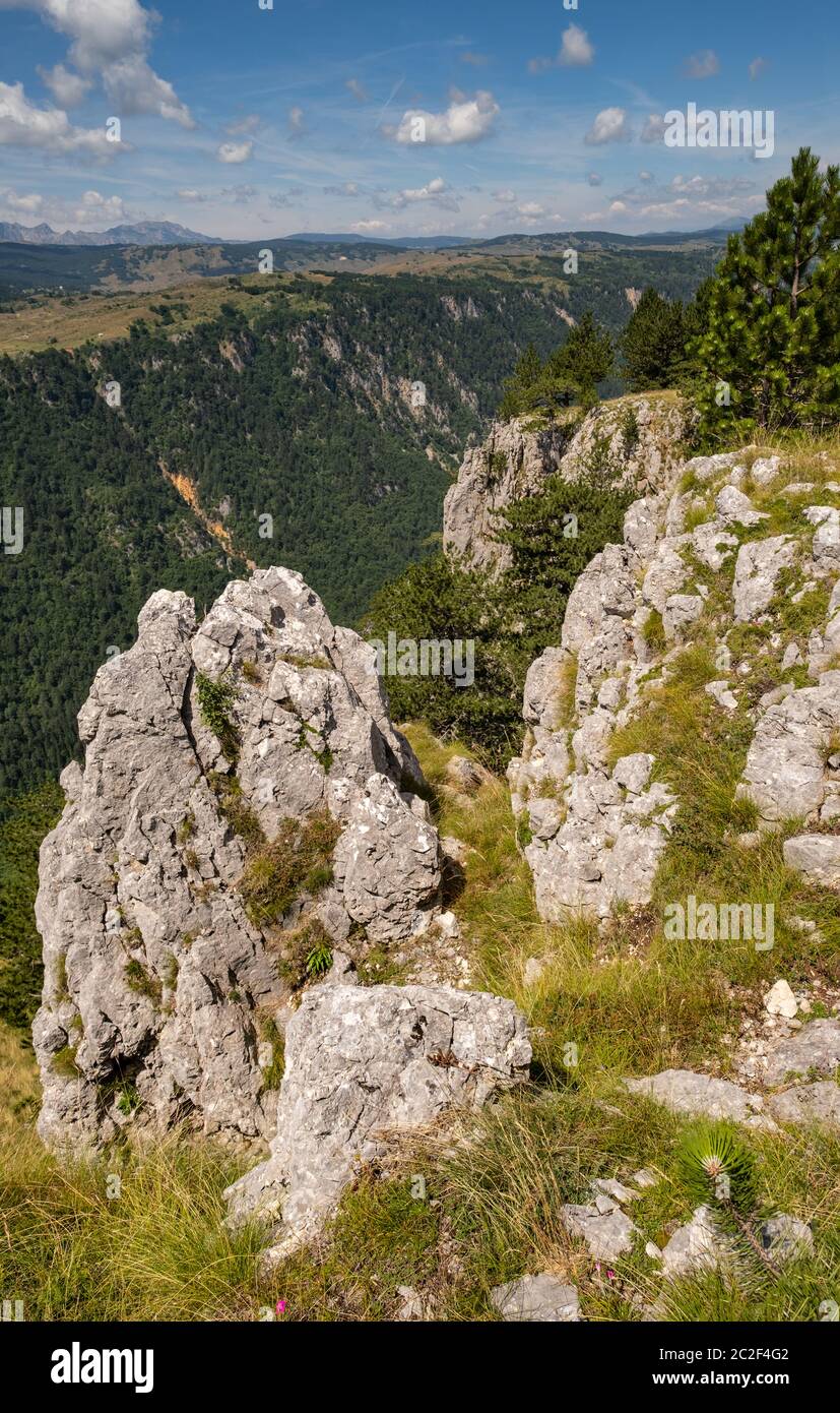 Summer Tara Canyon in mountain Durmitor National Park, Montenegro Stock Photo