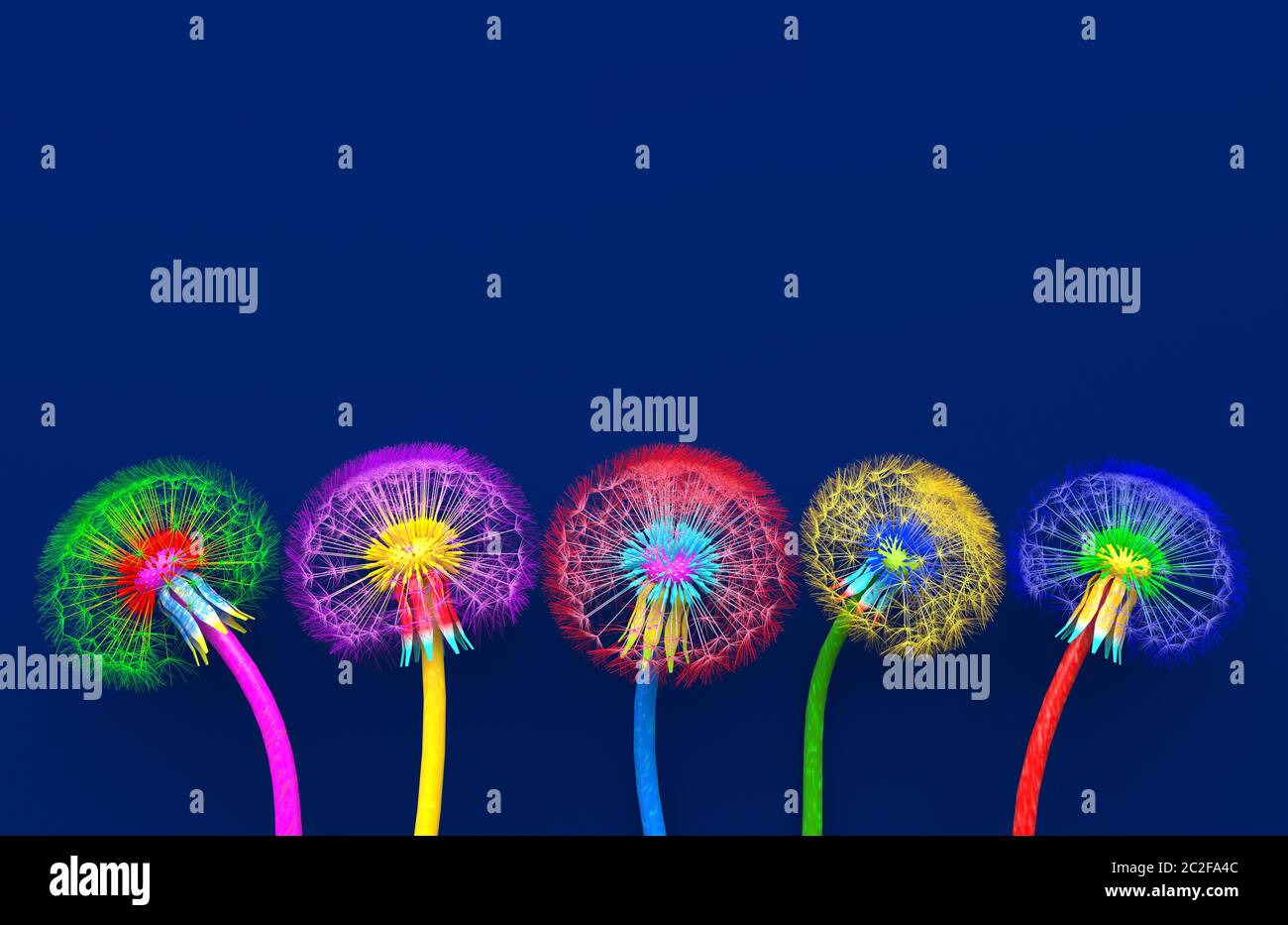 Bouquet of five flowers of blossoming dandelions of unusual colorful colors. Bright multi-colored abstract dandelions on a blue background. Creative c Stock Photo