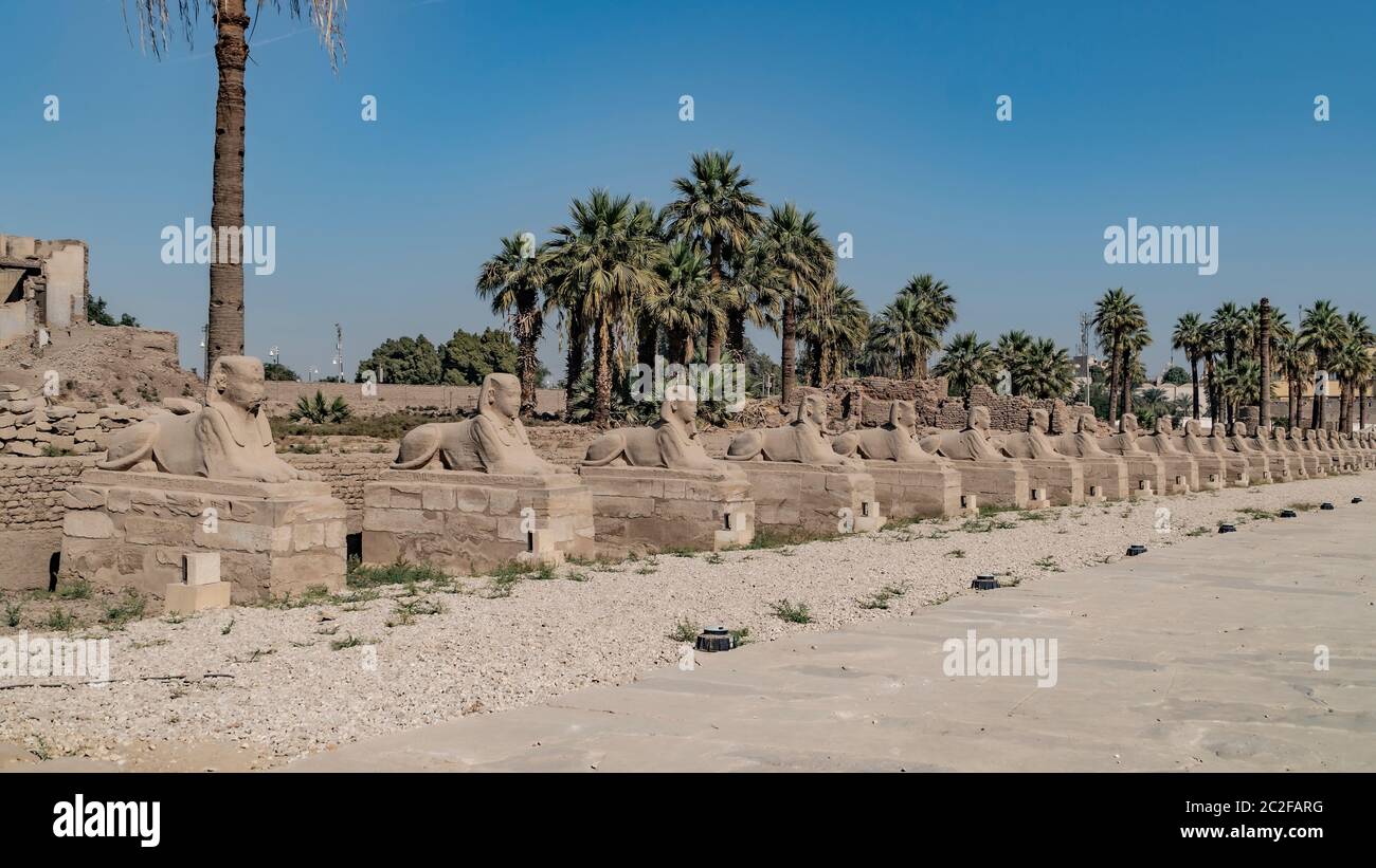 Luxor Temple in Luxor, Egypt. Luxor Temple is a large Ancient Egyptian