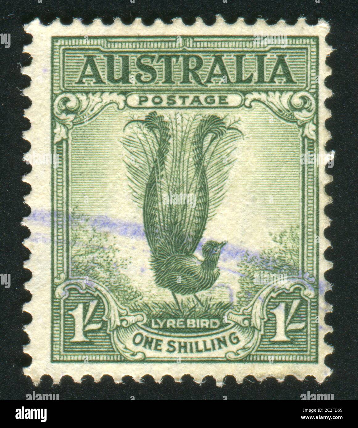 AUSTRALIA - CIRCA 1932: stamp printed by Australia, shows Male Lyrebird, circa 1932 Stock Photo