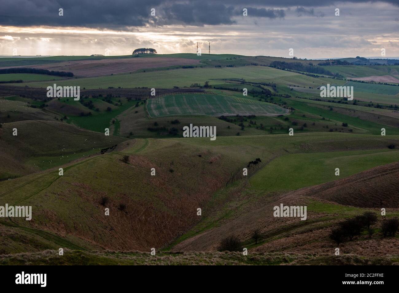 The rolling landscape of the North Wessex Downs viewed from Cherhill Down. Stock Photo