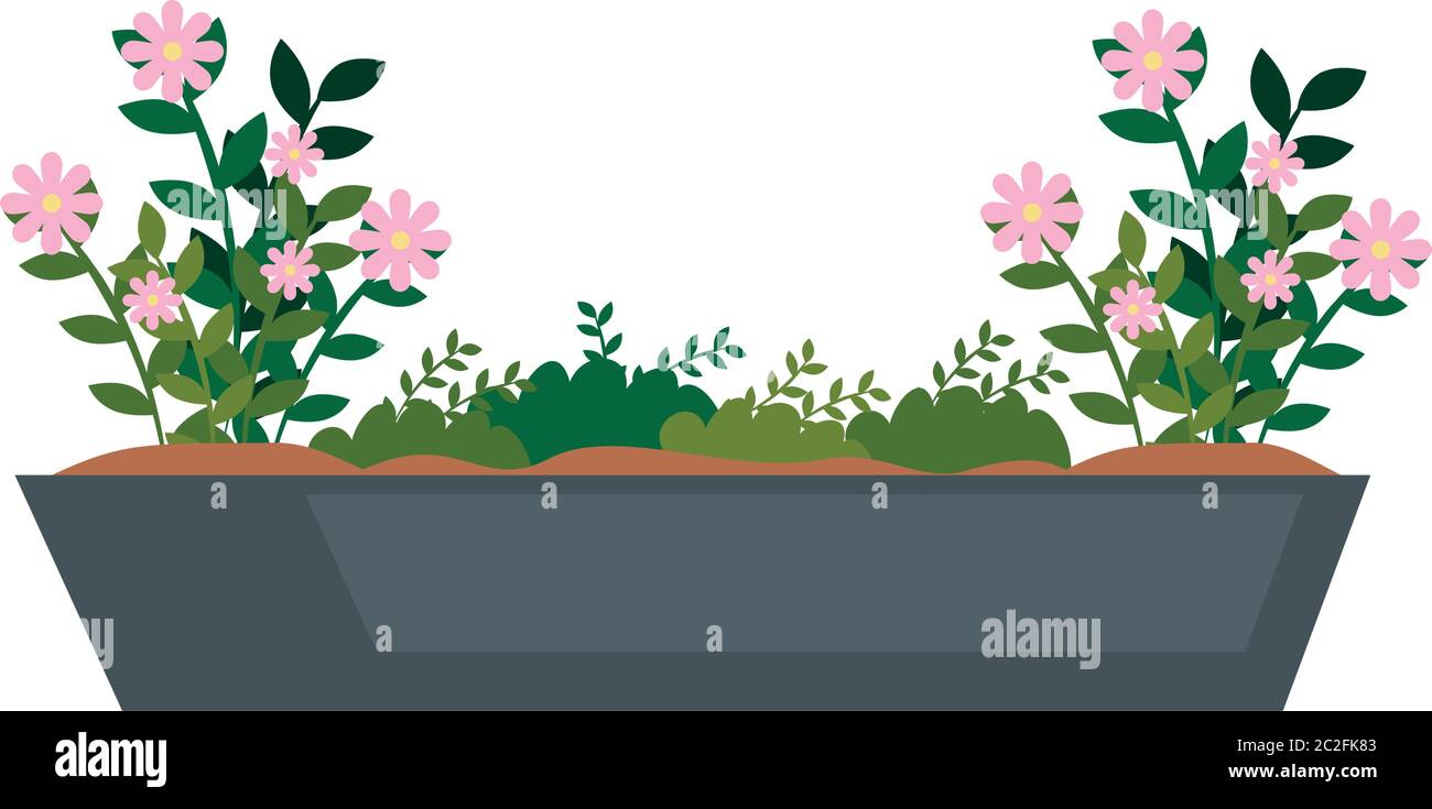 house pot plant on white background Stock Vector Image & Art - Alamy
