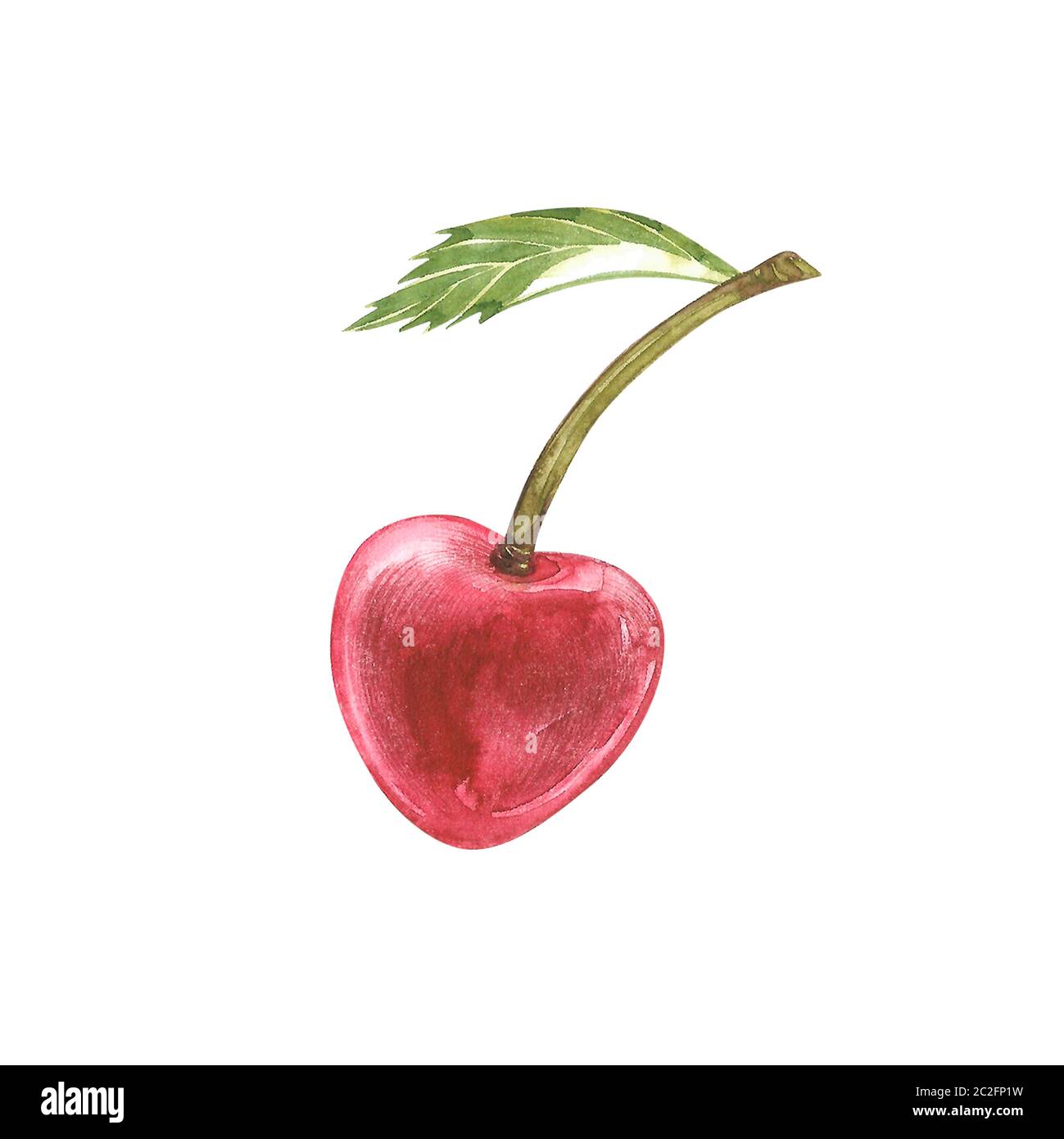 Branch and Cherry Print Set