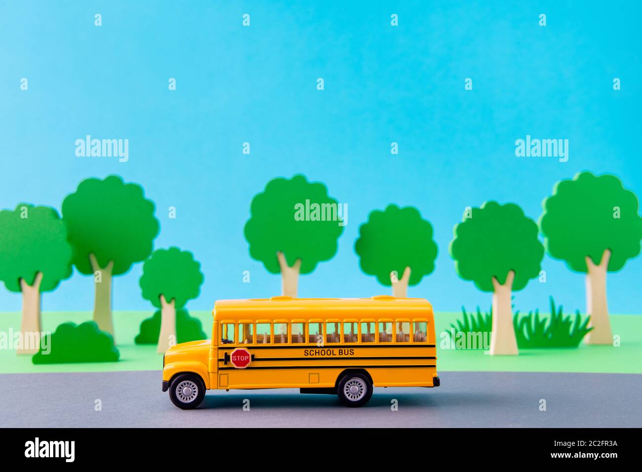 She take the bus to school. She take the bus to school