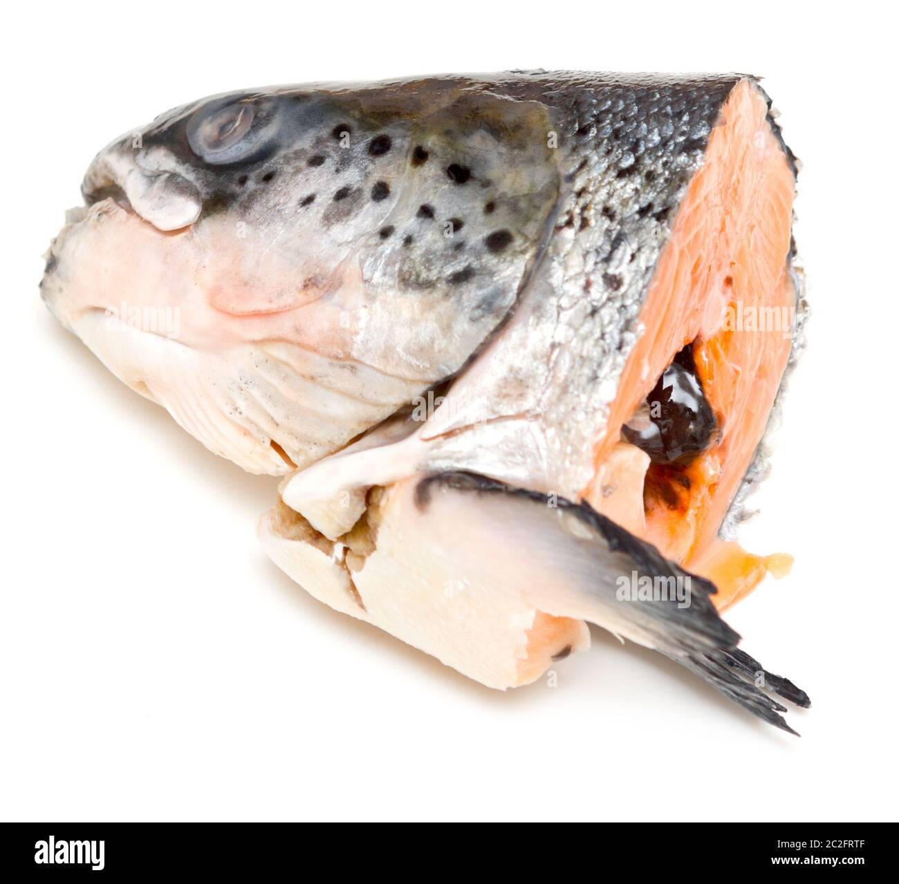Salmon head Stock Photo Alamy