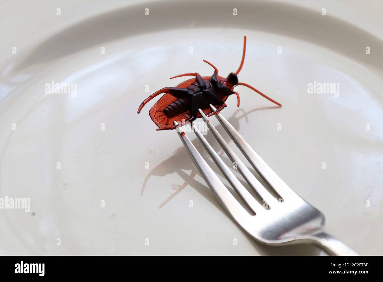 Bugs on a plate.Insects as food or edible insects are insect species used for human consumption either whole or as an ingredient in processed food pro Stock Photo