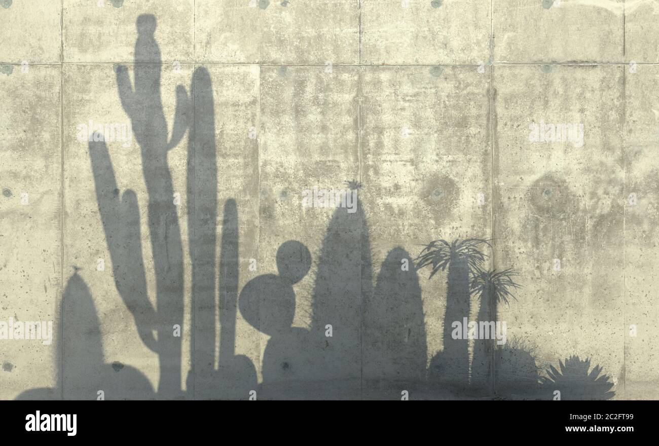 Cactus, aloe and succulent plants  cast a shadow on the concrete wall. Conceptual creative illustration with copy space. 3D rendering. Stock Photo