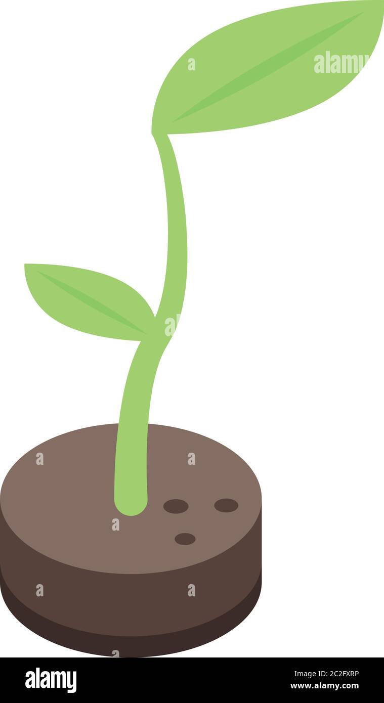 Eco ground plant icon, isometric style Stock Vector