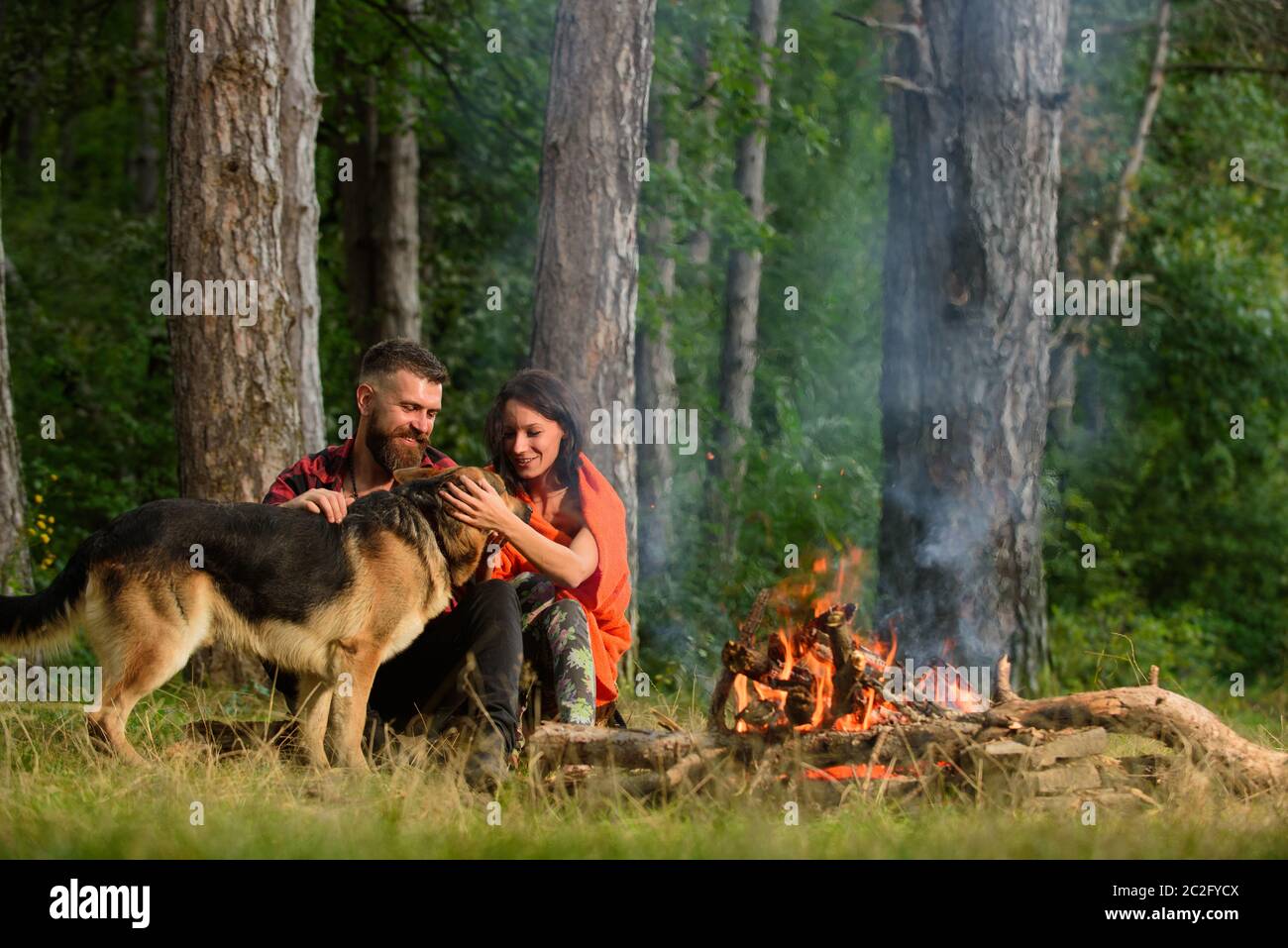 german shepherd hiking