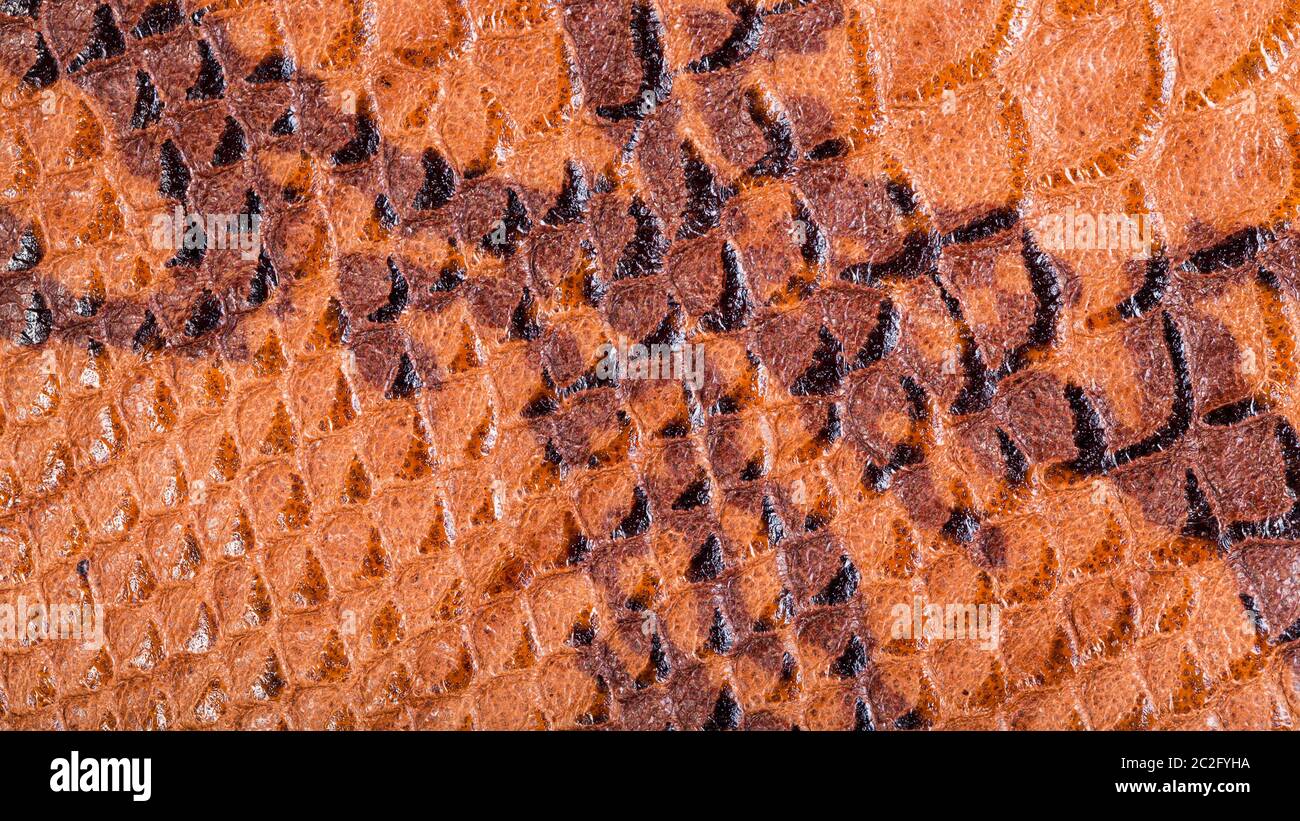 textured panoramic background from snakeskin leather close up Stock Photo