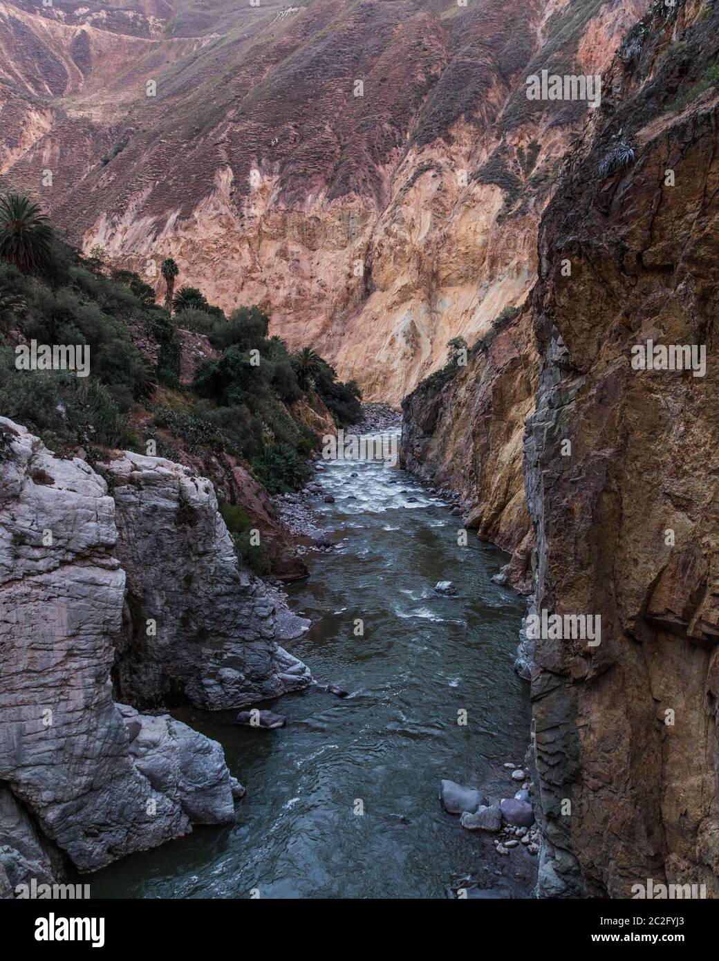 river in the middle of a canyon, grass ans trees, no people Stock Photo