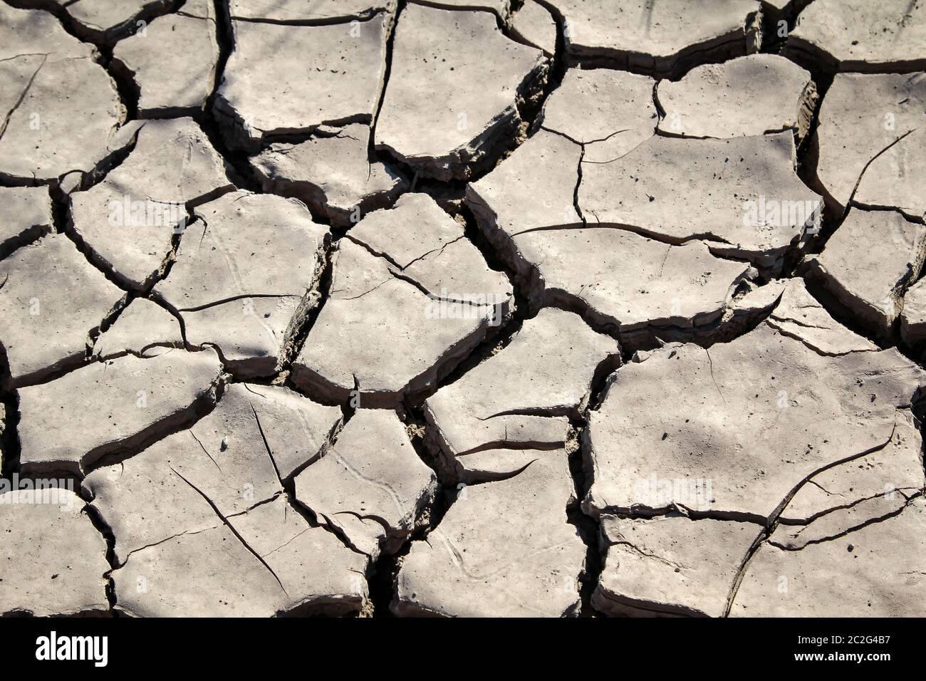 dry earth due to lack of water, triggered by the beginning of climate change Stock Photo