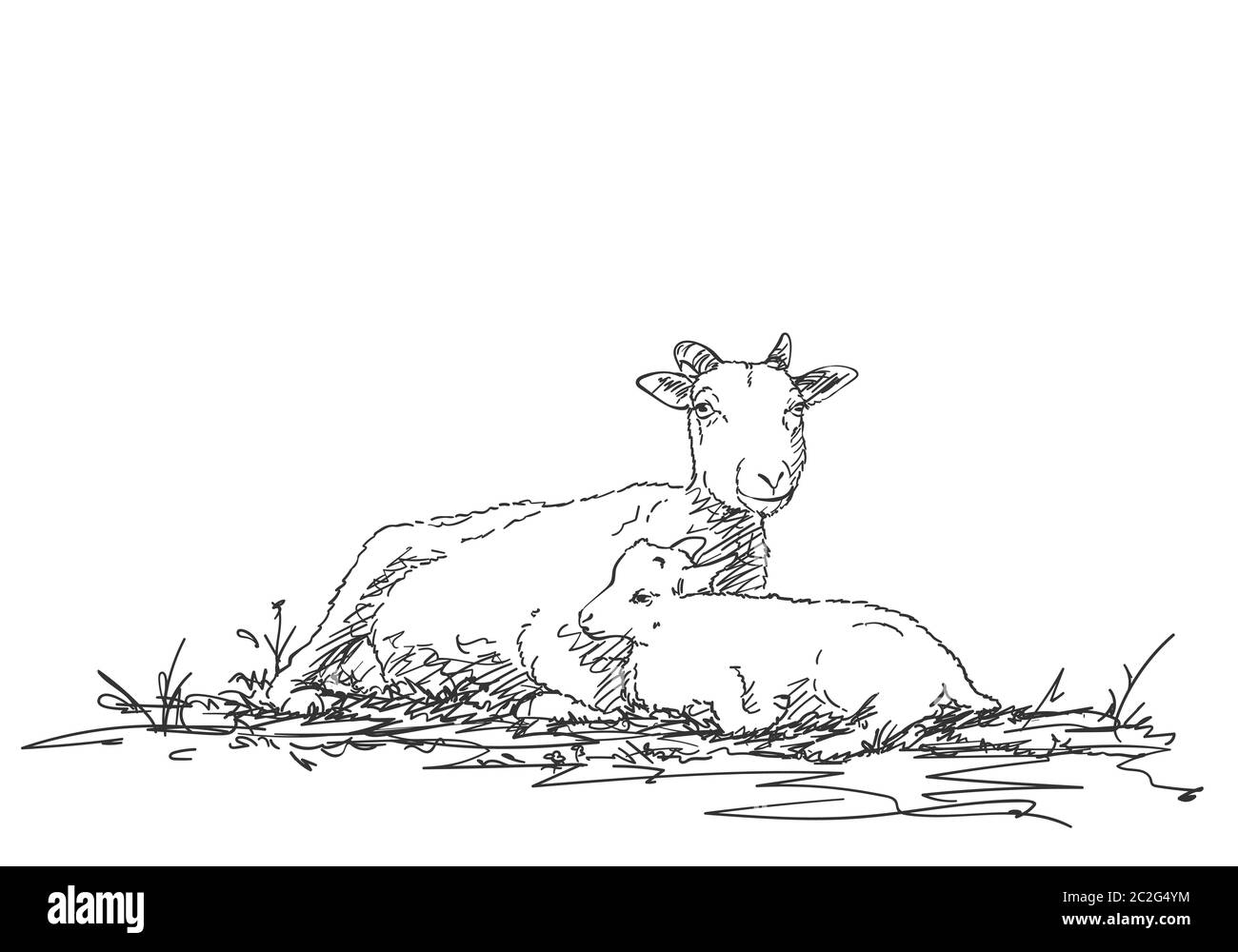 Mother goat and baby goat are resting together, vector sketch, Hand drawn illustration Stock Vector