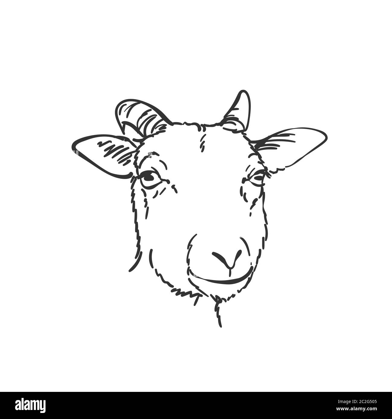 Goat head vector sketch, Hand drawn illustration Stock Vector