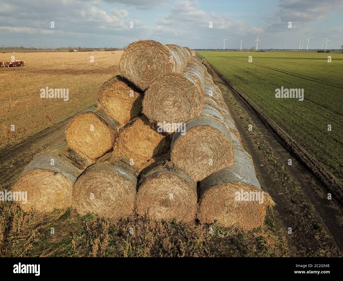Straw bales stacked on the field at the end of summer Stock Photo - Alamy