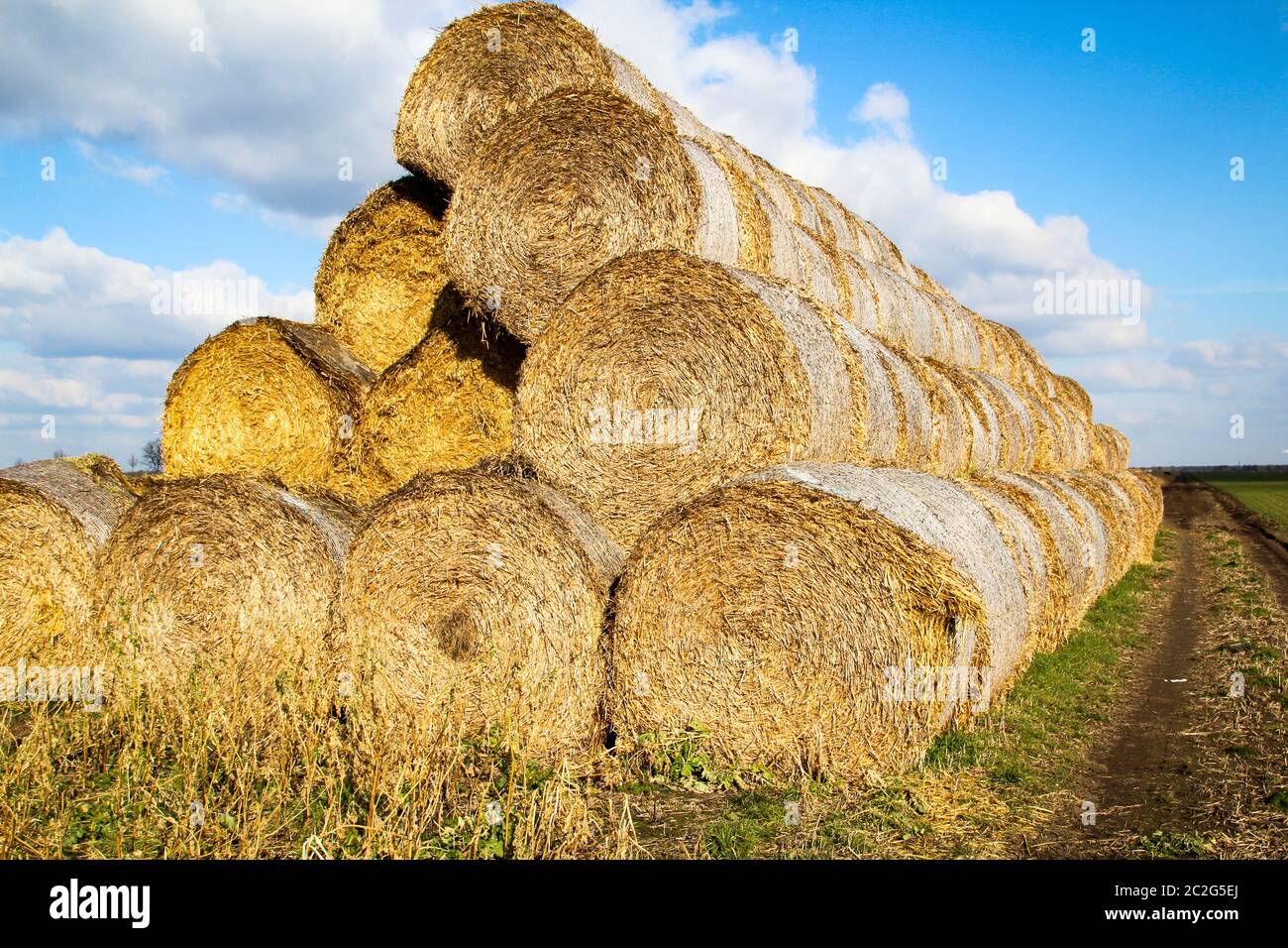 Straw bales stacked on the field at the end of summer Stock Photo - Alamy