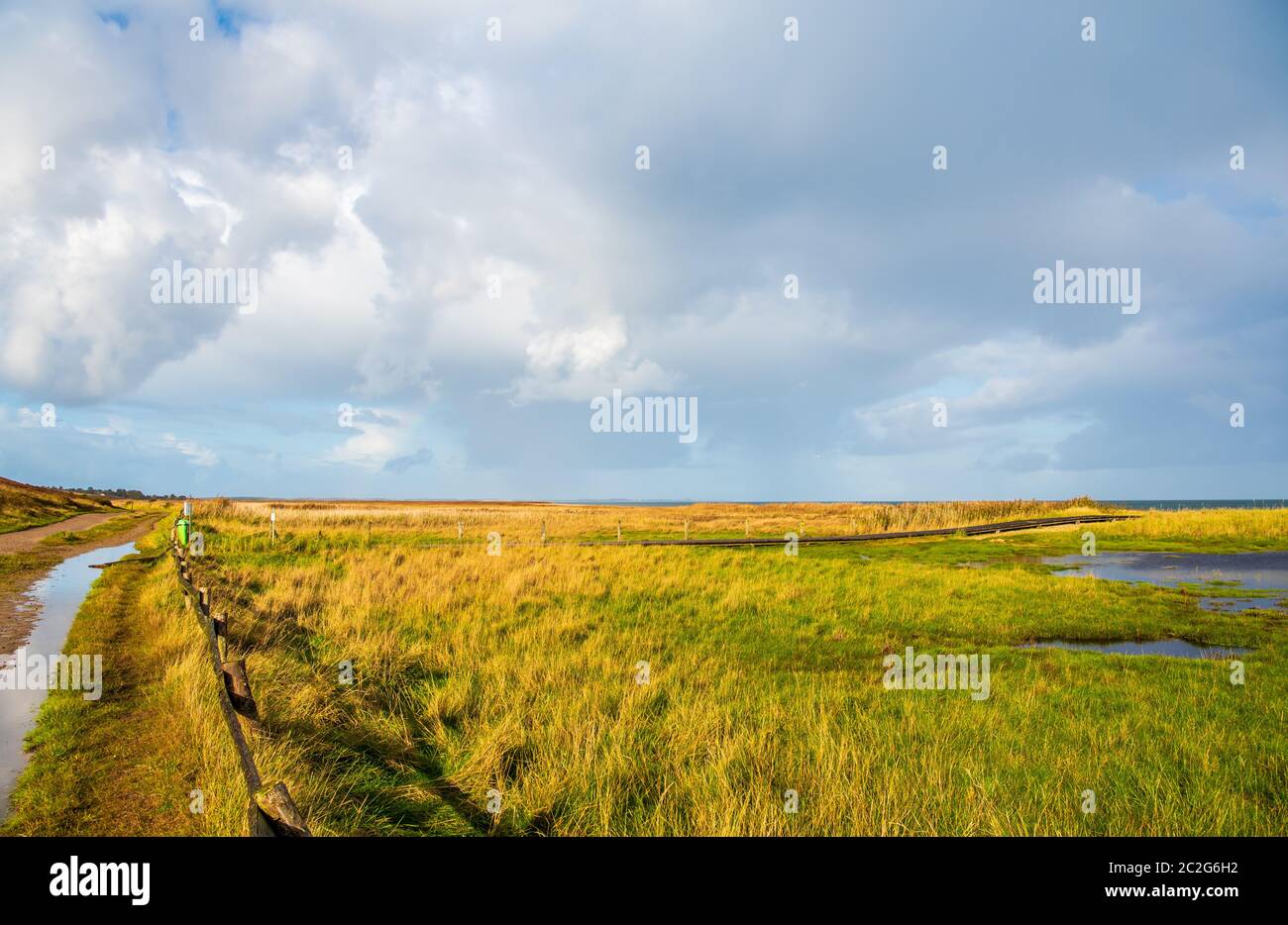 Wet meadows Stock Photo