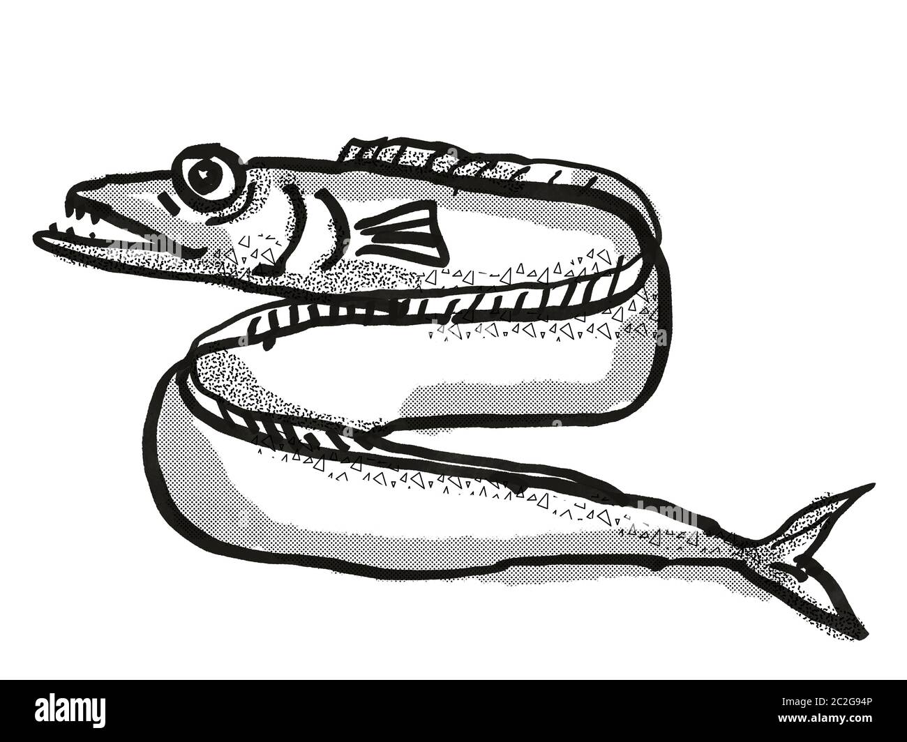 Retro cartoon style drawing of a Frostfish , a native New Zealand ...