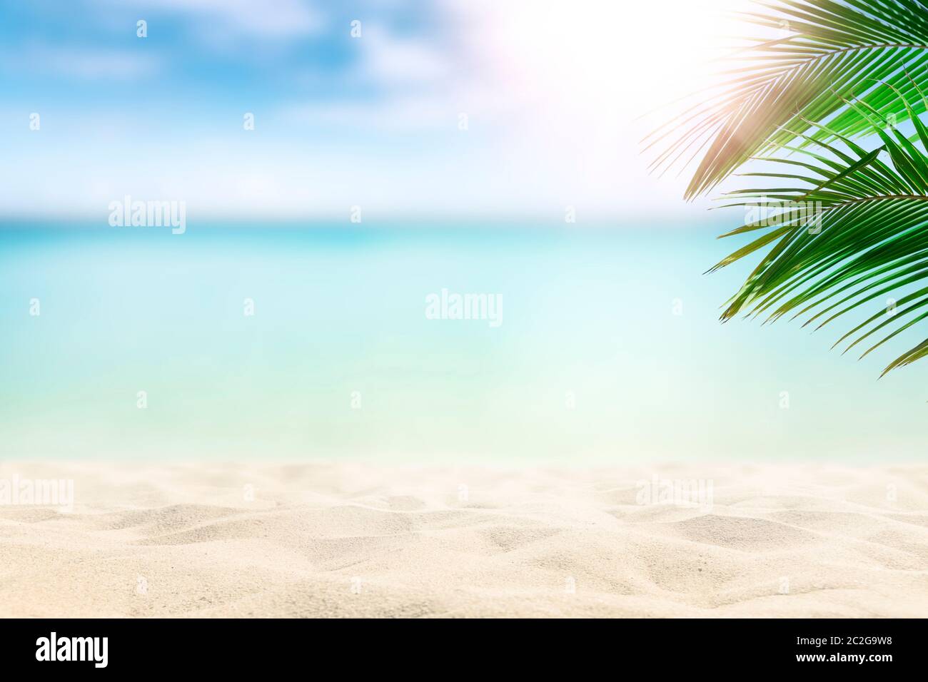 Sunny tropical Caribbean beach with palm trees and turquoise water ...