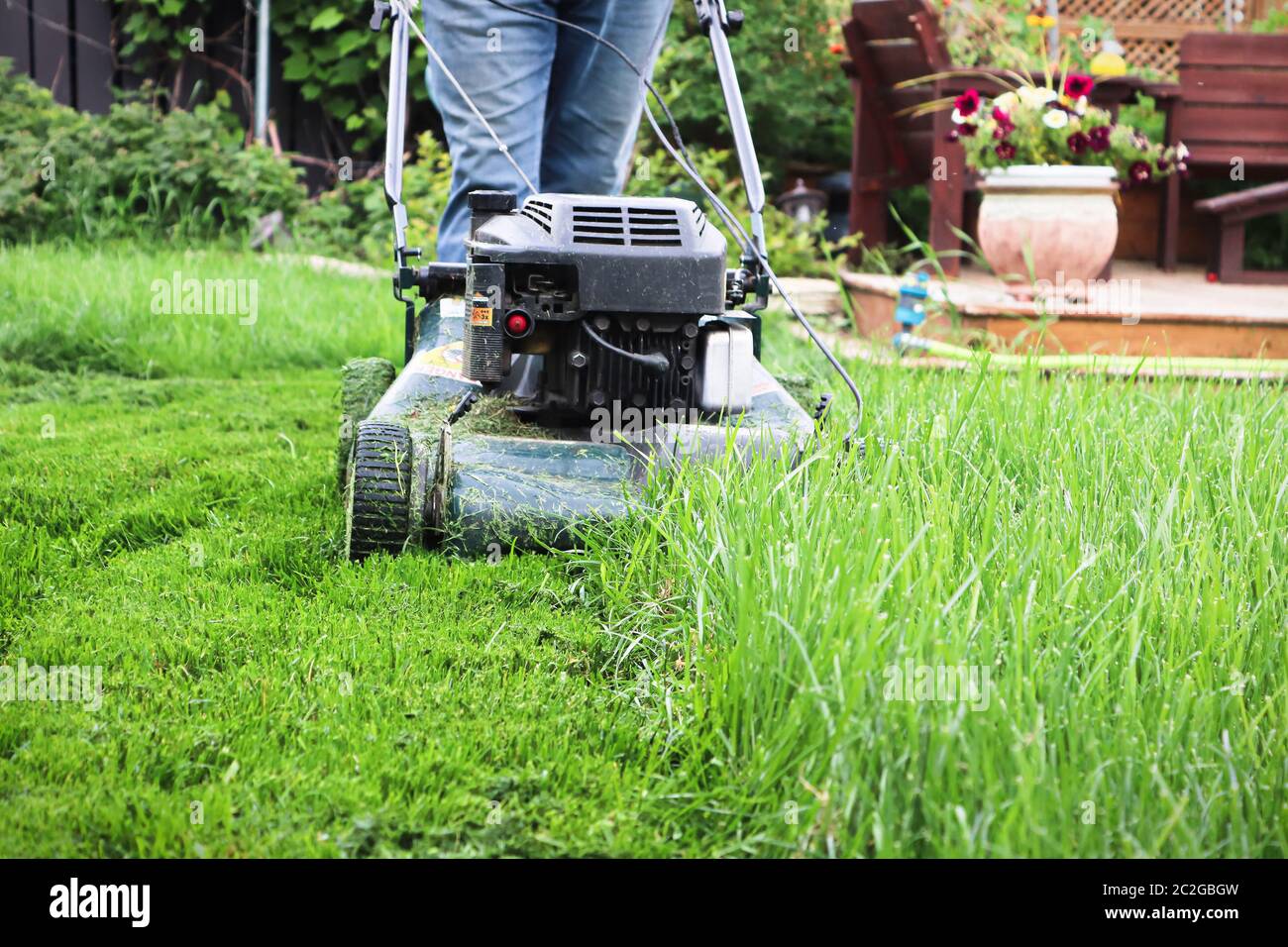 Clsoeup of a lawnmower cutting tall grass. Stock Photo