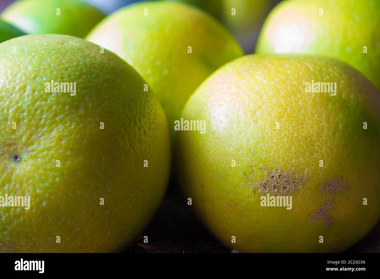 Sweet lime fruit(also known as Citrus limetta, musambi). Food rich in vitamin c and boost immunity. Stock Photo