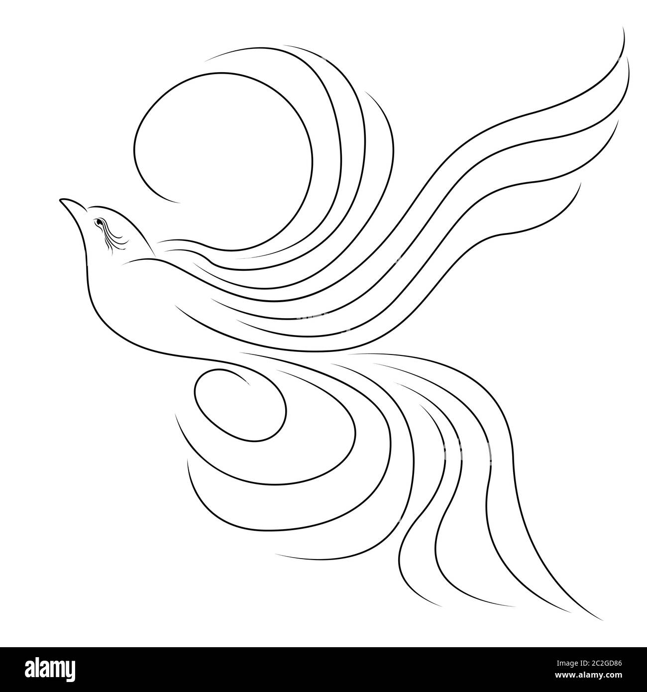 Black outline of beautiful flying bird illustration isolated on the white background Stock Vector