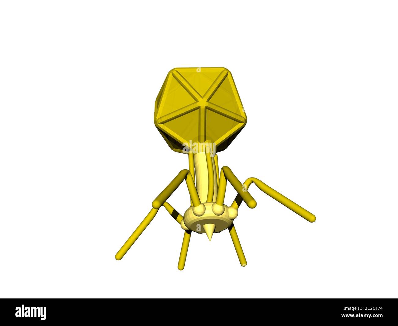 Bacteriophage as a virus against bacteria Stock Photo