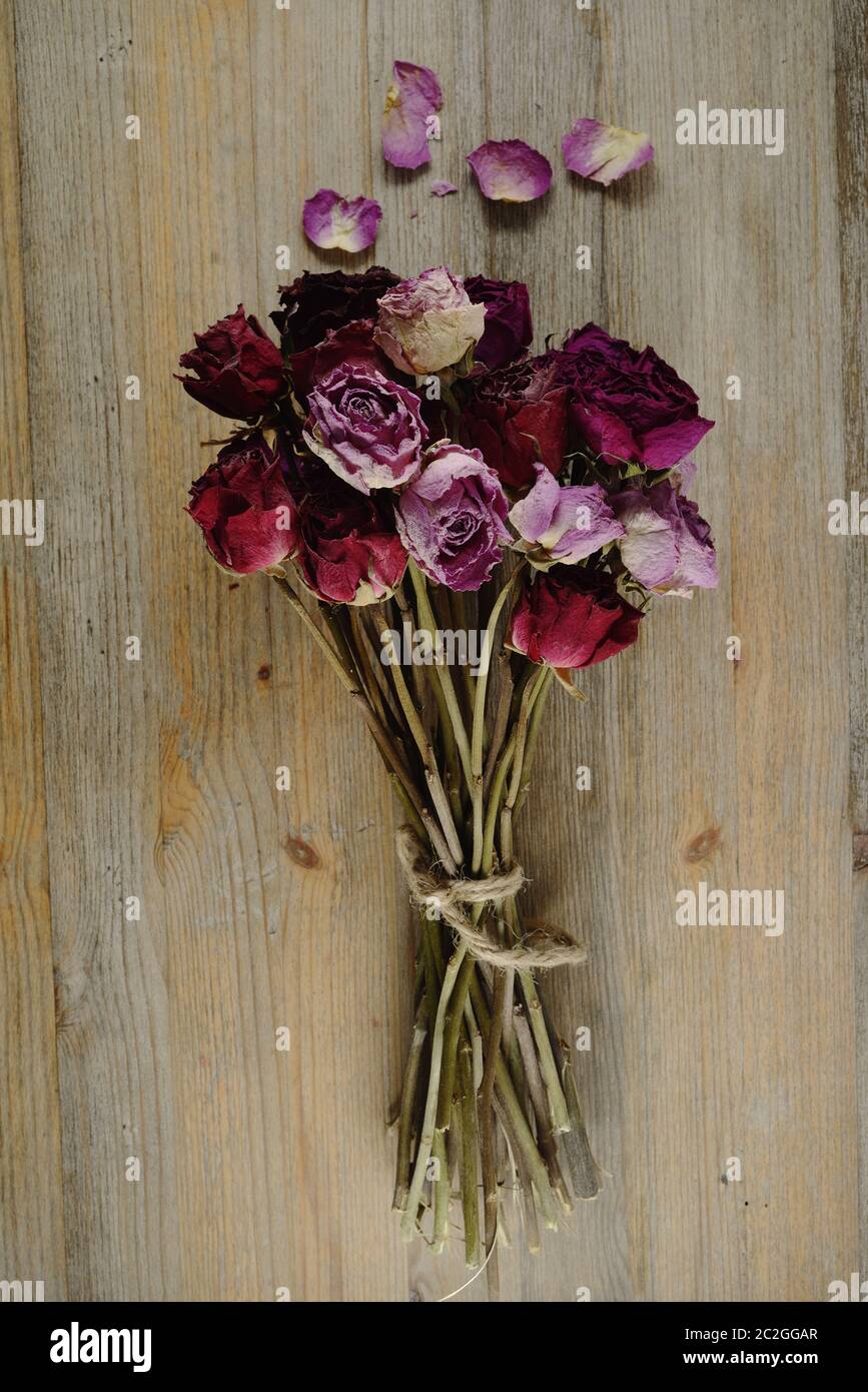 Background dried pink roses hi-res stock photography and images - Alamy
